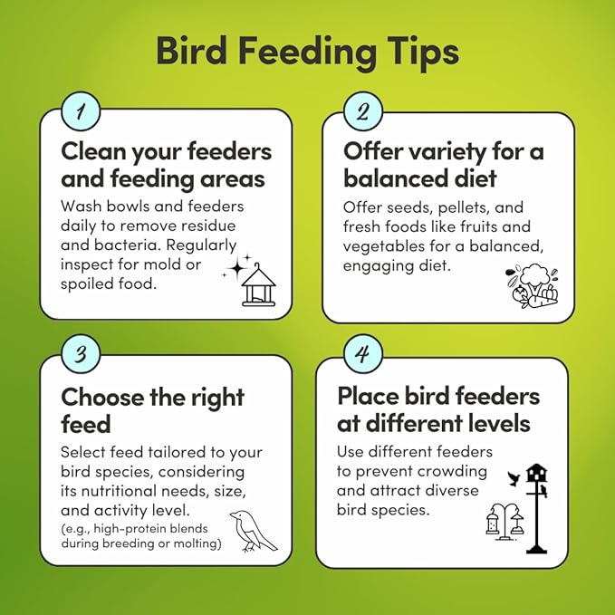 Mycelium Organic Large Hookbill Plus Bird Food (5 LB Bag) | Premium Daily Bird Seed for Macaws, Cockatoos, & Amazons | High-Protein, Vitamin-Fortified Skin & Feather Support | Non-GMO & USA-Made