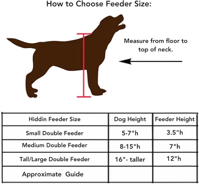 Hiddin Double Elevated Dog Bowl Stand for Small or Medium Dogs, All Breeds, Clear Acrylic 3.5 Inch Raised Dog Bowl Stand with Two Stainless Steel Bowls for Food and Water - 3.5 Cups Each Dish