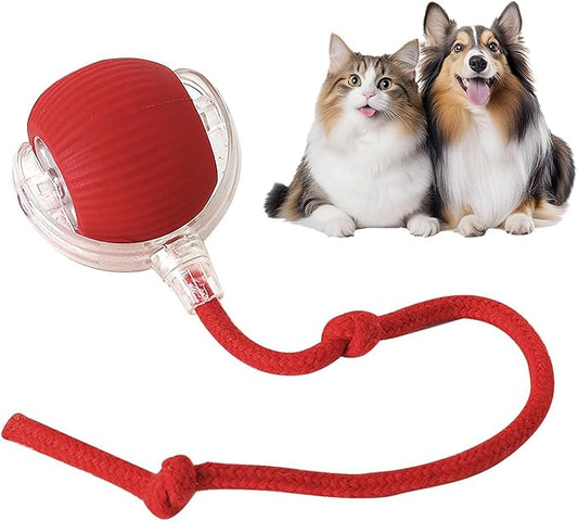 Interactive Cat Toys Ball,Movable Cat Toys, Smart 360° Automatic Rolling Pet Ball, USB Rechargeable, Ideal Christmas Pet Gift, Relieves Boredom for Indoor Cats