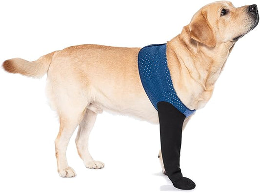 COODEO Dog Socks to Prevent Licking Paws, Healing Boots & Paw Protectors with Non-Slip Bottoms for Wound Protection, Waterproof Sleeve Shoes for Licking（Blue，L_Left