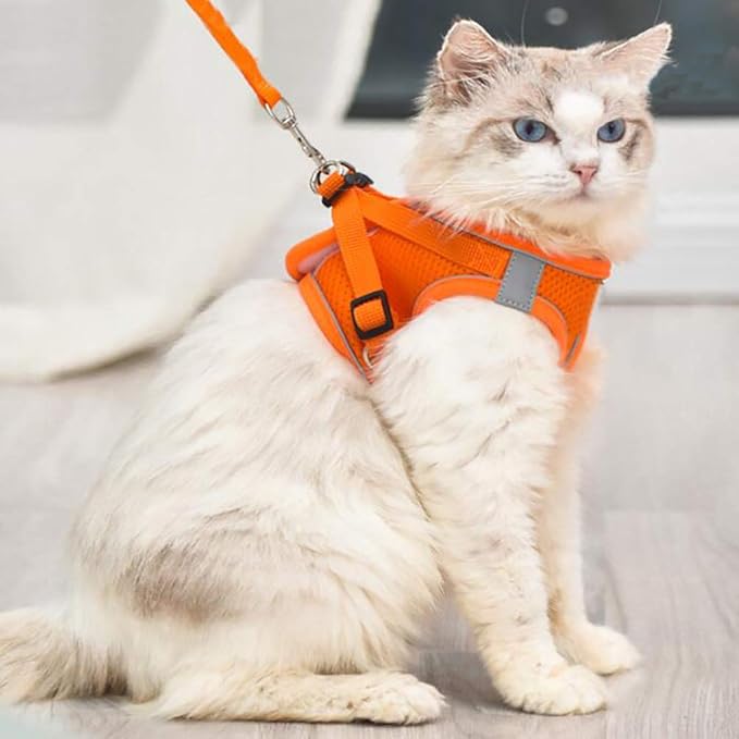 Puppy Harness and Leash Set, Escape Proof Dog Cat Vest Harness for Cats Small Medium Dogs, Adjustable Reflective Step in Harness,Soft Mesh Comfort Fit No Pull No Choke (Xlarge(18.5"-20.4"), Orange)