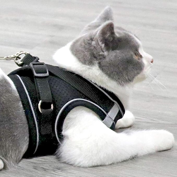 Puppy Harness and Leash Set, Escape Proof Dog Cat Vest Harness for Cats Small Medium Dogs, Adjustable Reflective Step in Harness,Soft Mesh Comfort Fit No Pull No Choke (Small(11.8"-13.3"), Black)