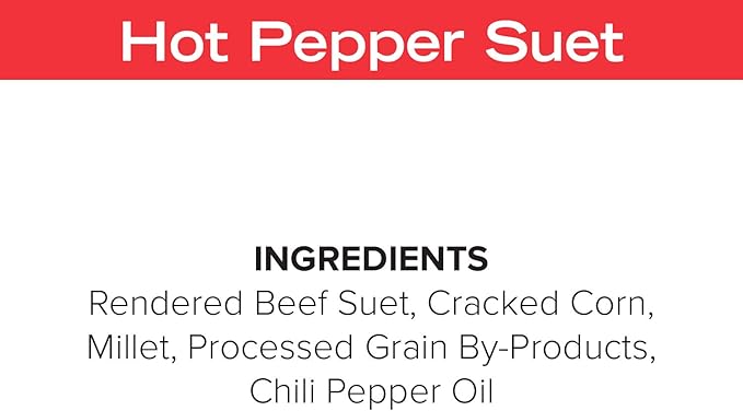 Blue Seal Hot Pepper Suet Cakes for Wild Birds | No Mess Suet Feed with Cracked Corn | Food for Woodpeckers, Cardinals, Siskins & Sparrows | Use with Suet Feeder | 11oz Seed Cake (12 Pack)