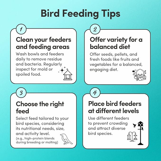 Mycelium Small Pet Bird Plus | Bird Seed for Cockatiels, Parrots, Lovebirds | Organic Mix with Vitamins, Egg, Oyster Shell, Pumpkin & Safflower | Supports Digestion & Feather Health | 5 lb Bag