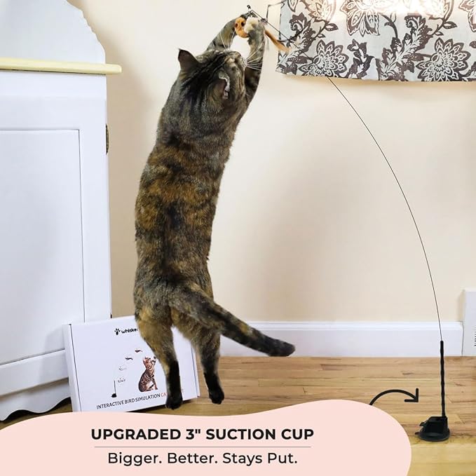 Whiskertons Interactive Bird Simulation Cat Toy Set, Interactive Cat Toys for Indoor Cats, Cat Feather Toy, Self-Holding Suction Base, 5 Replacement Birds, Feathers & Bells, Realistic Bird Impression
