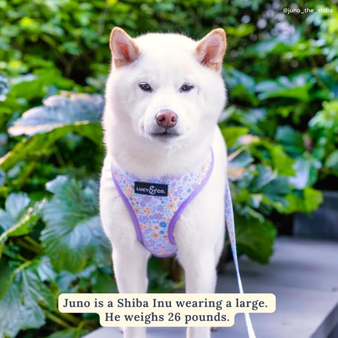 Lucy & Co. Cute Reversible Dog Harness Walking Halter - Best Designer Pet Harnesses for XS - XL Dogs - Padded Adjustable Vest for Easy Walking (Large, Among The Wildflowers - Purple Floral)