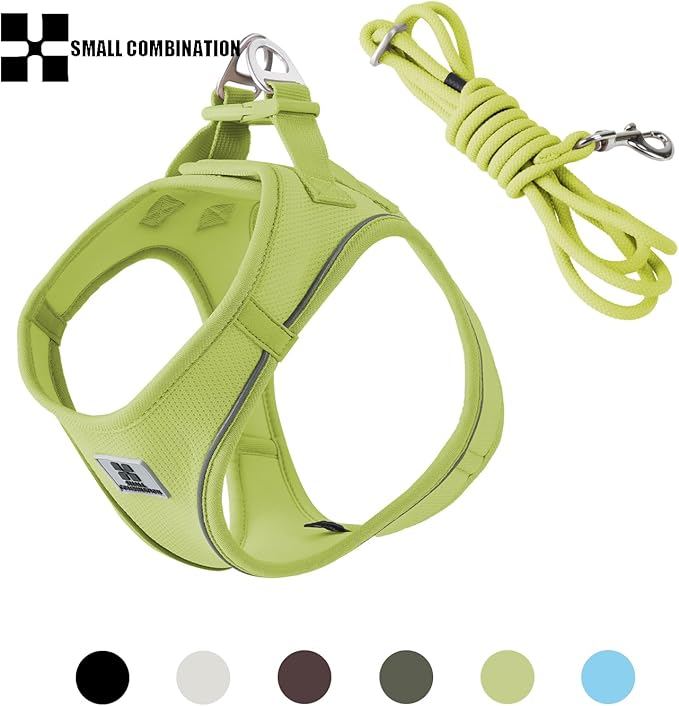 Adjustable Dog Harness with Leash, Reflective Mesh, No-Pull Design，Matching Lead Rope (Lemon Yellow, XXXS)