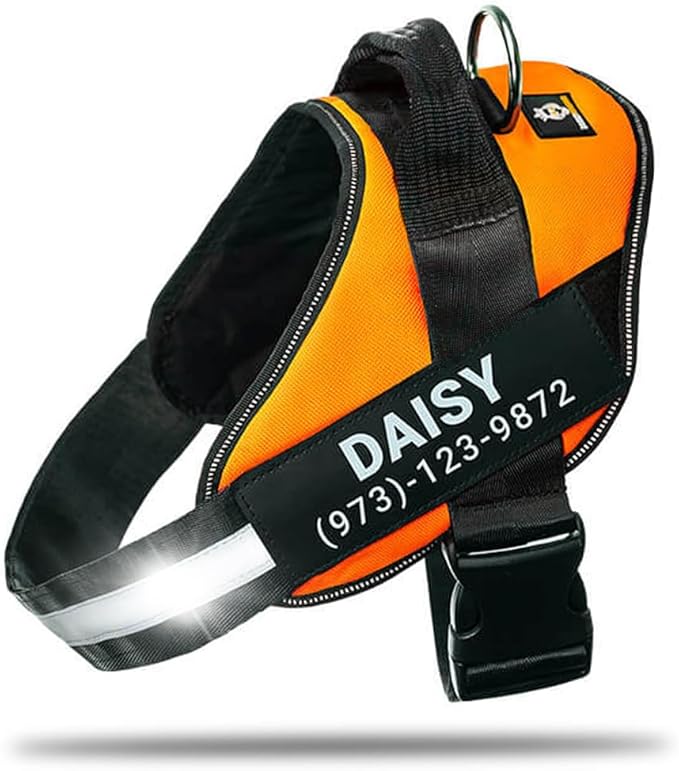 Personalized No-Pull Dog Harness with Name Patch, Adjustable, Reflective, Padded, Heavy Duty Pet Vest to Prevent Tugging, Pulling, or Choking, Training and Walking, Orange, M