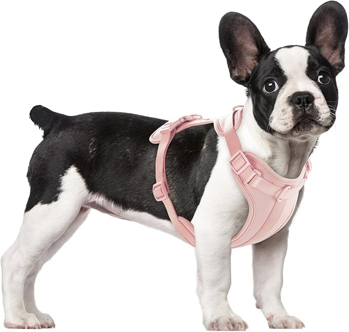 Wisedog No Pull Lightweight Dog Vest Harness with Soft and Comfortable Cushion, Breathable Mesh, for Small Medium Large Dogs Walking (M(Neck: 11.81"-18.11";Chest: 18.11"-27.95"), Gossamer Pink)