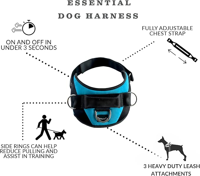 ShawnCo Essential Dog Harness, No-Pull Pet Vest with 3 Leash Clips, No Choke, Reflective, Adjustable and Padded, for Easy Walking and Training for Small, Medium and Large Dogs (Oceanic Blue, XS)