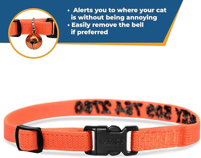 GoTags Personalized Cat Collars with Breakaway Safety Release Buckle, Custom Embroidered Cat Collar with Pet Name and Phone Number, Adjustable Nylon ID Collar with Bell for Cat or Kitten (Pack of 1)