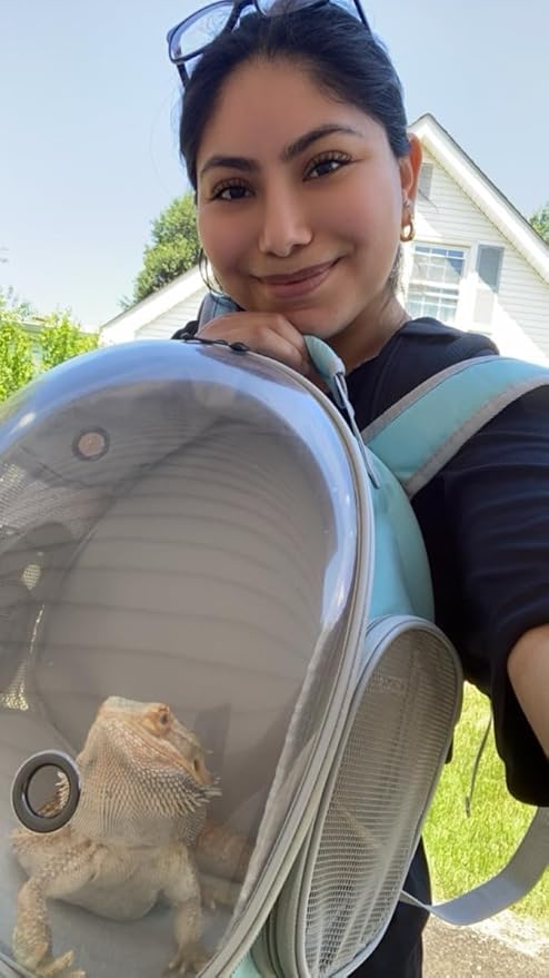 Bearded Dragon Backpack Carrier,Reptile Portable Backpack Carrier with Small Backpack Harness Leash Set,Space Capsule Clear Bubble Window Travel Backpack for Lizard Travel,Guinea Pig,Rabbit