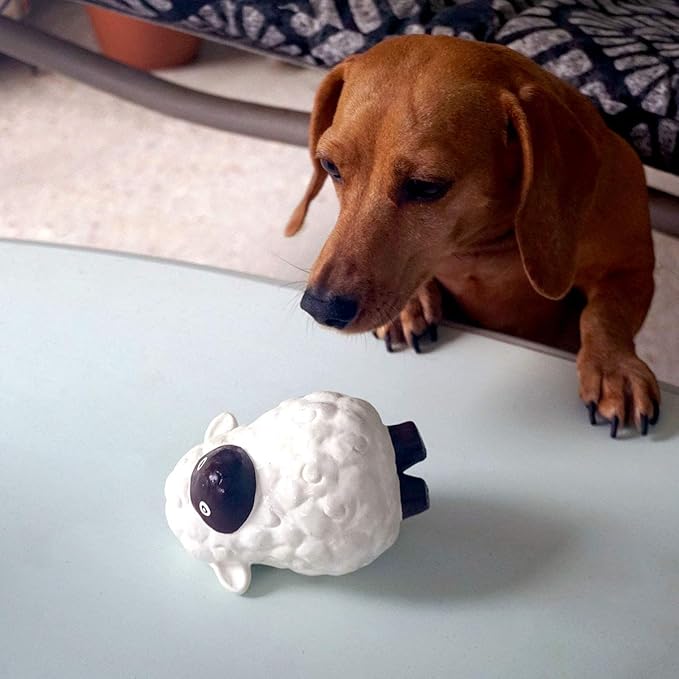 rocket & rex Dog Chew Toy Set for Small to Medium Breeds, Includes a Rope Toy, Rubber Squeaker and Plush Toys with Ball, Reduces Destructive Chewing & Anxiety (Pack of 3)