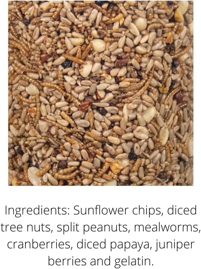 JCs Wildlife Bugs, Nuts and Berries Premium Bird Seed Small Cylinder with Hole, 1.5 lb (1 Cylinder)