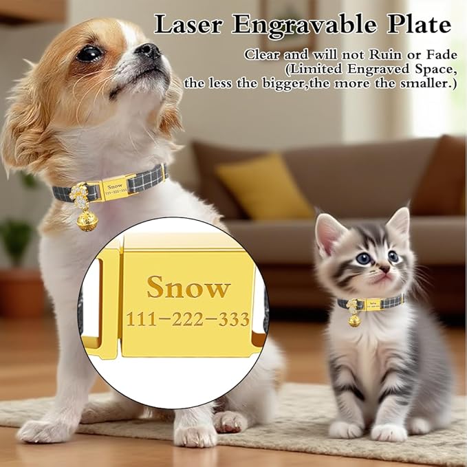 Personalized Breakaway Cat Collars - Magnetic Buckle, Bell - Safety Quick Release, Customized for Girls & Boys Cats- (Checkered-Grey)