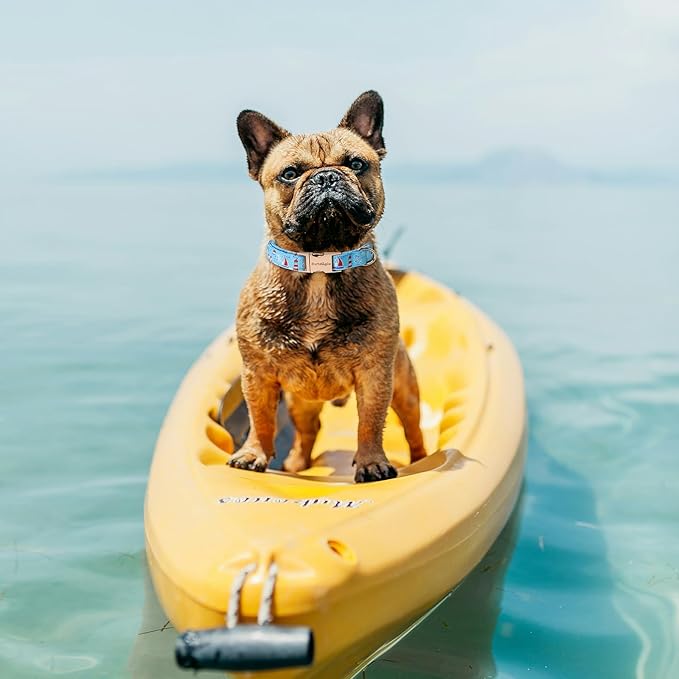 Nautical Themed Dog Collar，Handmade Cotton Puppy Collar with Sailboats，Seagulls Parttern, Adjustable Colllar for Small Medium Large Dogs, Perfect for Daily Walks, Photos，Beach & Vacation- L