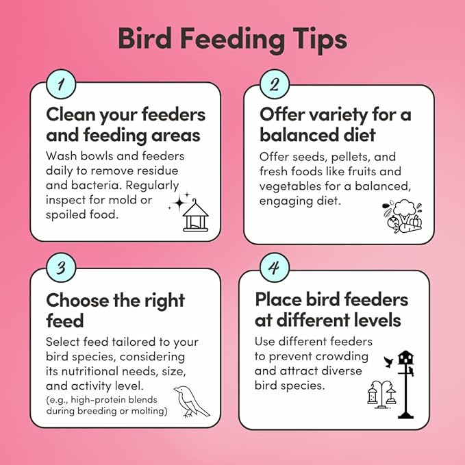 Mycelium Pet Bird Protein Bird Seed Mix (5 LB Bag) | High-Protein Bird Food for Finches, Canaries, Budgies & Parrotlets | Supports Energy & Growth | Organic, Non-GMO Daily Diet | Made in USA