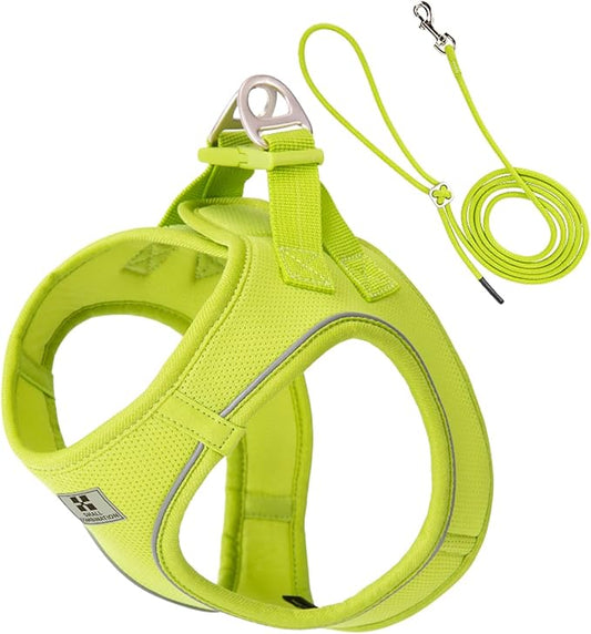 Adjustable Dog Harness with Leash, Reflective Mesh, No-Pull Design，Matching Lead Rope (Lemon Yellow, L)