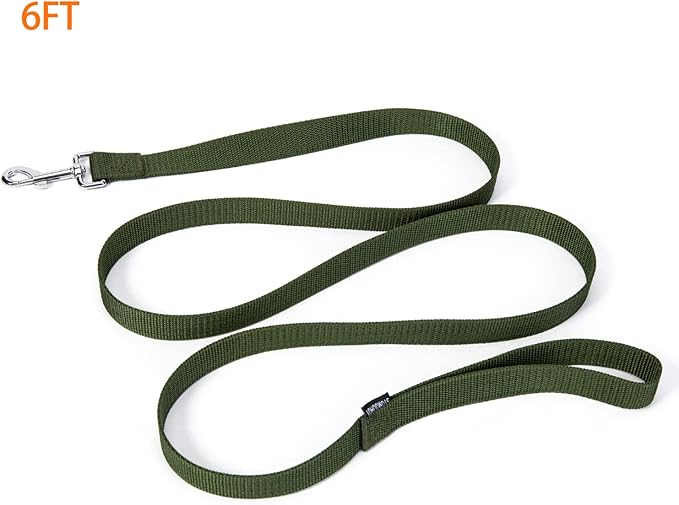 Strong Durable 6 ft Nylon Dog Training Leash, 1 Inch Wide Traction Rope, for Small and Medium Dog (Military Green, 6 Feet)
