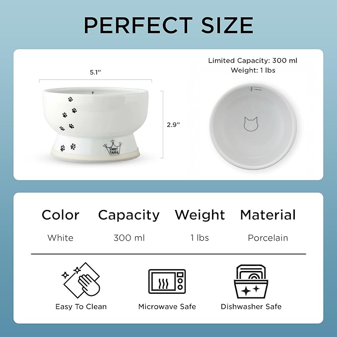 Necoichi Elevated Cat Water Bowl – Ceramic Raised Cat Bowl, Prevents Neck & Whisker Fatigue – Dishwasher & Microwave Safe – Pet Water Bowl for Cats (Cat, Regular)