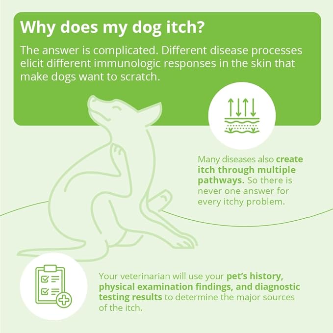 DermAllay Oatmeal Shampoo for Dogs, Cats and Horses, 1 Gallon