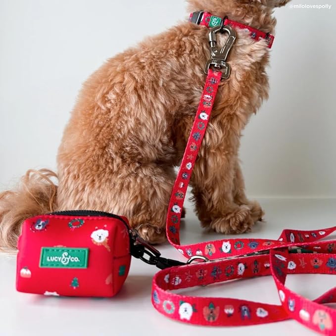 Lucy & Co. 5 Foot Designer Dog Leash for Small, Medium or Big Dogs or Puppies Puppy – Pet Accessories & Supplies- Happy Howlidays - Large