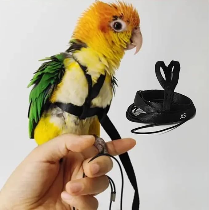 Adjustable Bird Harness with 78.7 Inch Leash, Outdoor Flying Training Rope Kit for Bird Parrots, Parrot Flying Rope Straps Outdoor Training Traction Rope for Small Medium Large Size Birds (XS)