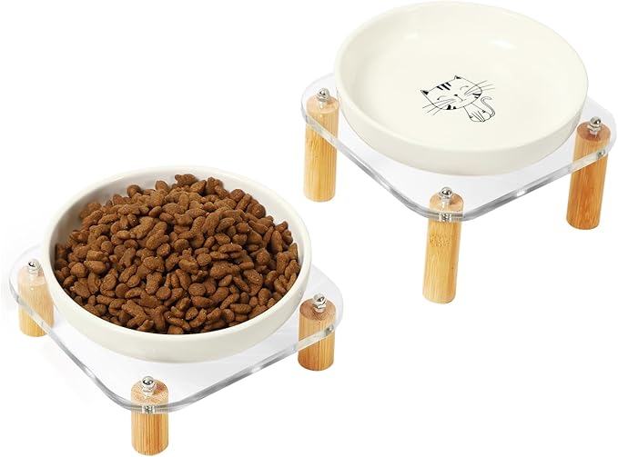 Elevated Cat Bowls for Indoor Cats – Raised Acrylic Cat Bowl Stand with 5.8 Inch Wide Ceramic Dishes, Pet Food Table Plate for Easy Feeding, Whisker Friendly(White,Set of 2)
