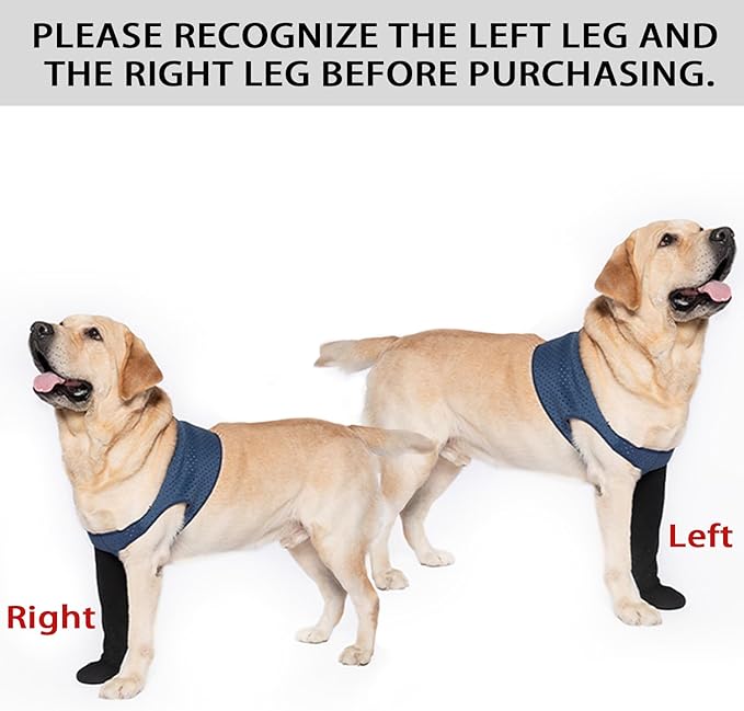 COODEO Dog Socks to Prevent Licking Paws, Healing Boots & Paw Protectors with Non-Slip Bottoms for Wound Protection, Waterproof Sleeve Shoes for Licking（Blue，3XL_Left