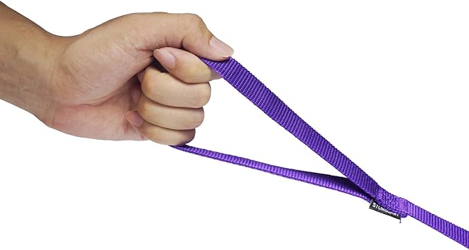 Strong Durable Nylon Dog Training Leash, 1 Inch Wide Traction Rope, 6 ft 10ft 15ft Long, for Small and Medium Dog (Purple, 15 Feet)