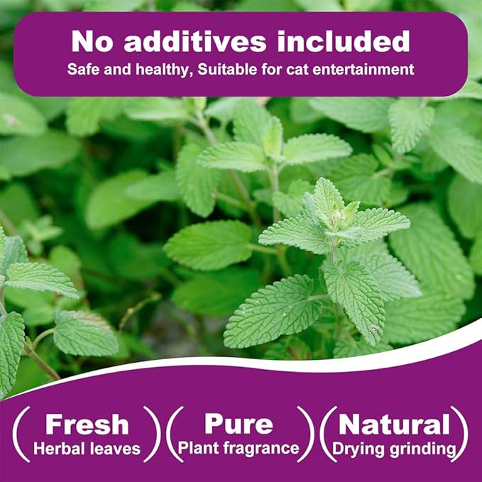 Organic Natural Catnip Cattle Grass Mint Taste Funny Cat Toy New Cat Toy Interactive Cat Toys Pet Supplies