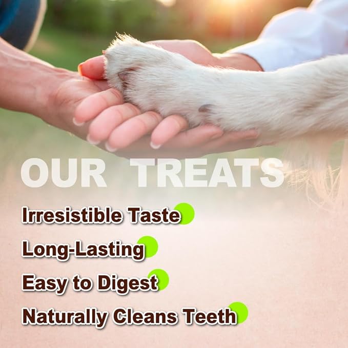 Afreschi Turkey Tendon Pretzel (S) 6 Pieces per Pack, USA-Sourced Turkey Tendon, All Natural Human Grade Puppy Chew, Hypoallergenic, Rawhide Alternative, Dog Treats for Small Breeds
