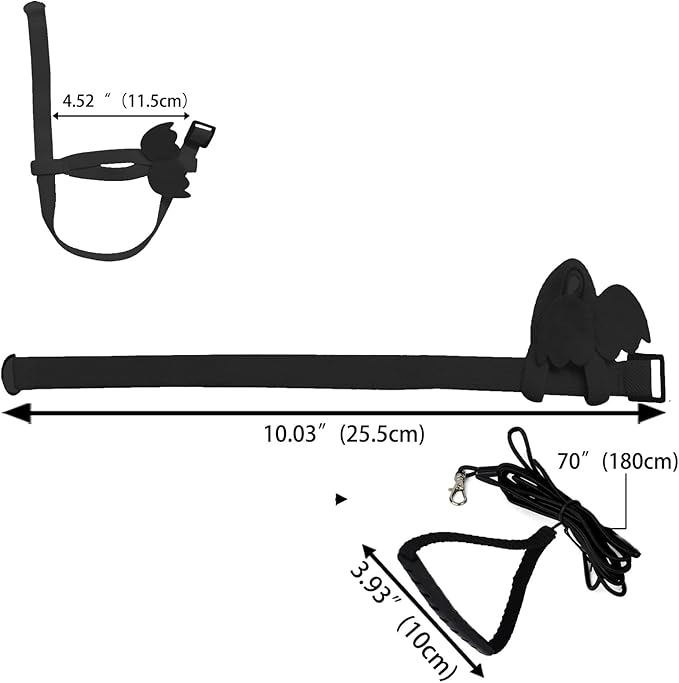 Dnoifne Pet Parrot Bird Harness and Leash, Adjustable Training Design Anti-Bite, Bird Nylon Rope with Cute Wing for Parrots, Suitable for Scarlet, Keck, Mini Macaw and Same Size Birds (Black)