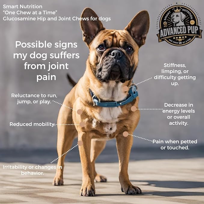 AdvancedPUP Hip and Joint Supplement - Effective Chondroitin MSM & Turmeric for Dogs - Dog Hip & Joint Care to Heal Dog Joint Stiffness & inflammation - Natural Glucosamine Supplement Tasty Bacon 90CT