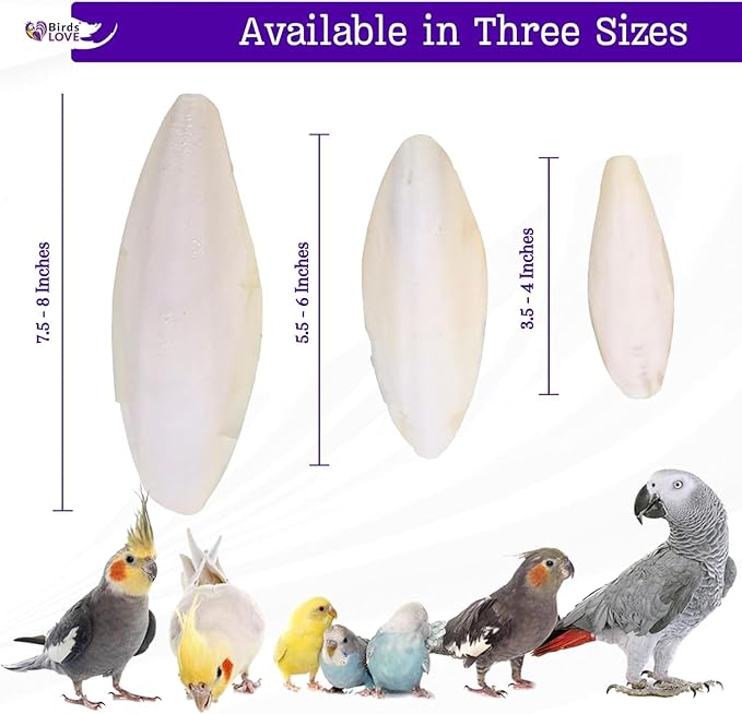 Birds LOVE Natural Cuttlebone | 100% Pure Sun-Dried Calcium Supplement for Birds, Tortoises, Snails & Crabs | Supports Beak & Shell Health | Easy to Chew | 6 Pack, Size 5.5 to 6"