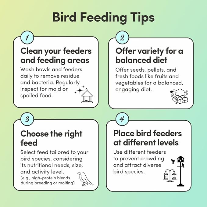 Mycelium Lovebird Feed (5 LB Bag) | Organic, Clean Seed Blend for Lovebirds & Small Parrots | Supports Skin & Feather Health | Non‑GMO, Shell-Free Nutrition | USA Made