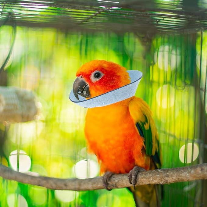 VANZACK Bird Cone Collar Adjustable Bird Parrot Tapered Collar Parrot Recovery Cones Neck Quaker Leather Neck Protector Feather Protection Sky-Blue