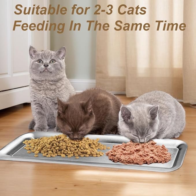 Cat Food Bowl,Extra Wide Stainless Steel Bowls for Multi-Cat Family and Flat Face Cats,Anti Whisker Fatigue Dishes Non Slip Shallow Kitten Plates for Food and Water