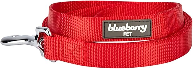 Blueberry Pet Essentials Rouge Red Dog Leash for Medium - 5' * 3/4" Dogs | Heavy Duty Nylon Lead | Lightweight Puppy & Cat Leash for Walking & Training