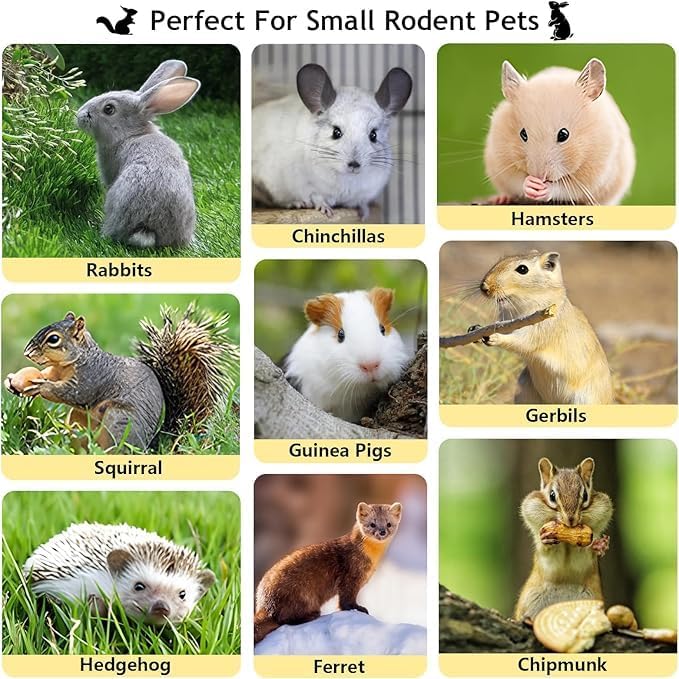 1000g Organic Apple Sticks Small Animals Molar Wood Treats Toys for Chinchillas Guinea Pig Rabbits Hamster Gerbil Parrot Bunny Chew Stick Toys, 35.3 OZ