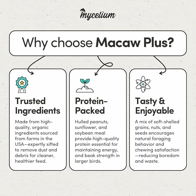 Mycelium Organic Macaw Plus Bird Seed Mix (5 LBS) | Premium Bird Food for Macaws & Large Parrots | High-Protein & Vitamin-Fortified Formula | Skin & Feather Support | Non-GMO, No Fillers, USA Made