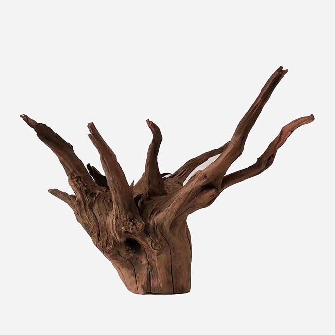 LYPHARD AQUARIUMS Natural Driftwood for Aquarium Decor, L16.14×W14.57×H12.99 Inches Large Drift Wood Decorations for Reptile Hide, Fish Tank, Optional Shapes