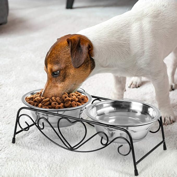 Pet Bowl, Double Cat Dog Waterer Bowls Stainless Steel Elevated Pet Water Food Feeder with Non-Slip Raised Stand for Small Dogs Cats Puppy Kitty