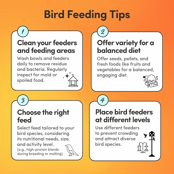 Mycelium Organic Cockatiel Protein Feed (5 LB Bag) | High-Protein, High-Fat Bird Seed for Energy, Growth, & Development | Seed & Superfood Blend for Cockatiels | Non-GMO, Made in USA