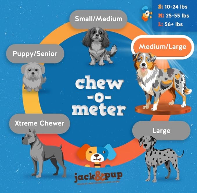 Jack&Pup 12 Inch Bully Sticks for Large Dogs | Thick Odor Free Bully Sticks (10 Pack) Long Lasting Bully Sticks for Dogs