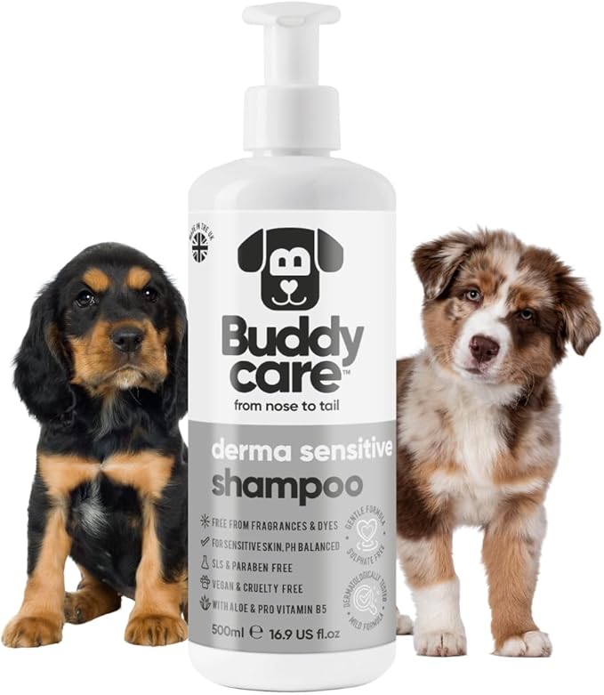Derma Sensitive Dog Shampoo by Buddycare | Dry Skin & Itchy Skin Relief for Smelly Dogs | Deep Cleansing for Dogs Puppy Sensitive Skin | Dog Shampoo & Conditioner | with Aloe & Vitamin B5 (16.90oz)