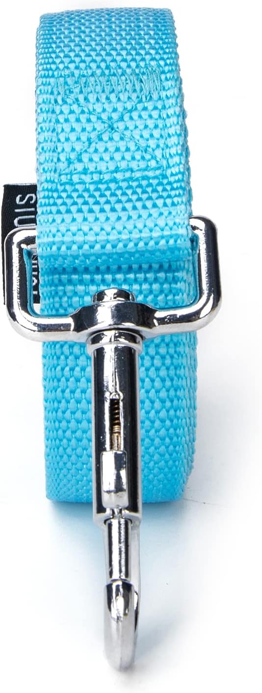 Strong Durable Nylon Dog Training Leash, 1 Inch Wide Traction Rope, 10 ft Long, for Small and Medium Dog (Mint Blue, 10 Feet)