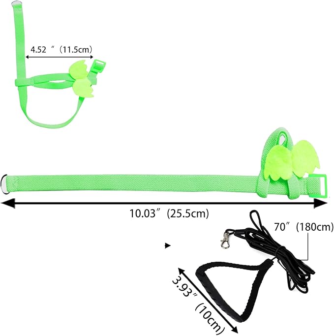 Dnoifne Pet Parrot Bird Harness and Leash, Adjustable Training Design Anti-Bite, Bird Nylon Rope with Cute Wing for Parrots, Suitable for Scarlet, Keck, Mini Macaw and Same Size Birds (Green)