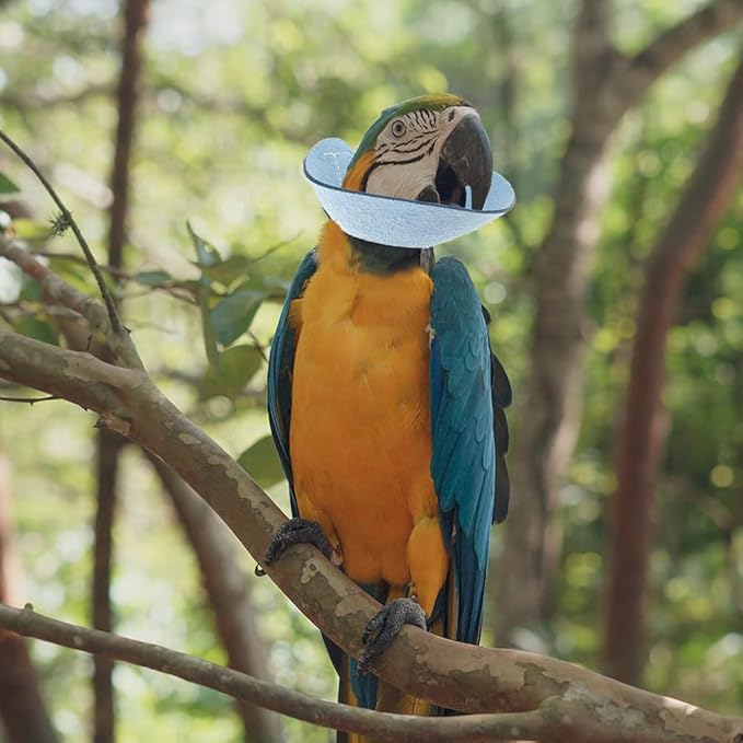 VANZACK Bird Cone Collar Adjustable Bird Parrot Tapered Collar Parrot Recovery Cones Neck Quaker Leather Neck Protector Feather Protection Sky-Blue