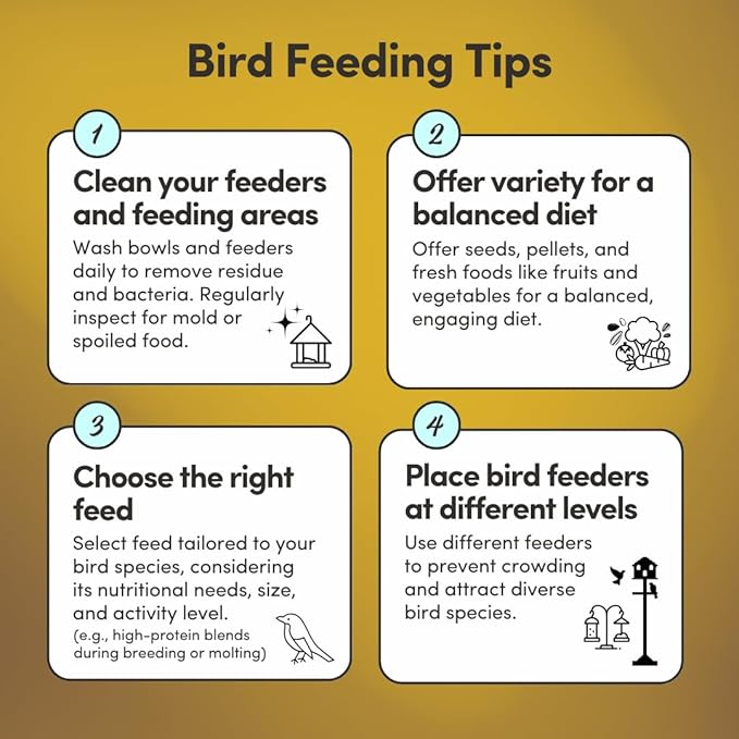 Mycelium Canary Cuisine Bird Food (5 LB Bag) | Organic Canary Seed Mix with Real Fruits & Veggies | Vitamin-Enhanced Daily Feed for Immunity | No Additives, Dust, or Debris | Non-GMO & USA Made